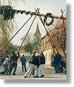 Maibaum-Aufstellen