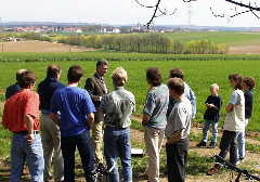Blick vom mgl. Standort nach Bhmfeld