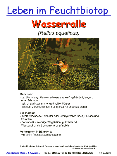 Wasserralle