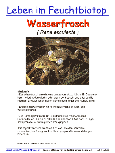 Wasserfrosch
