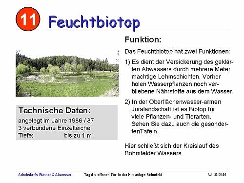 Feuchtbiotop