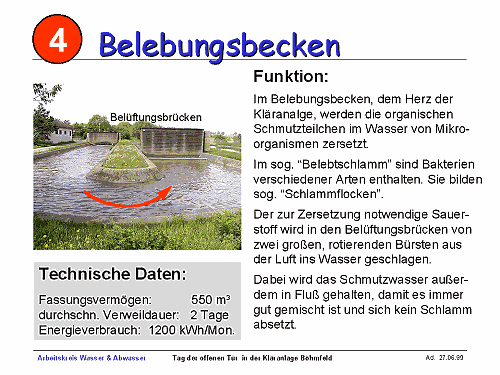 Belebungsbecken