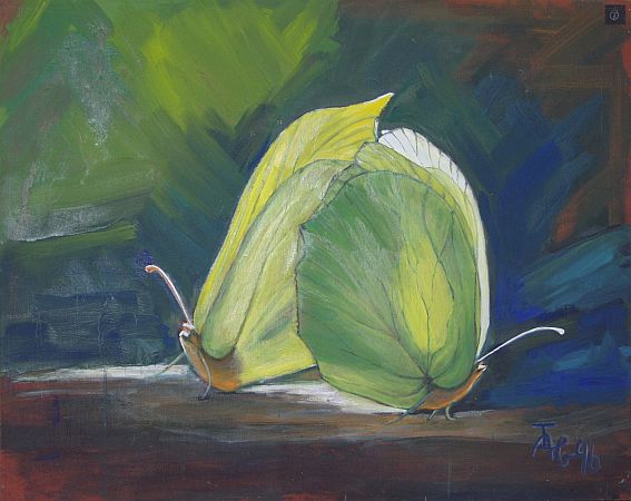 Images/ausstellung_05.jpg